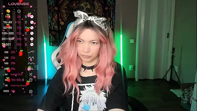 Project_hisoka webcam