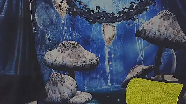 _hellostormy_ webcam