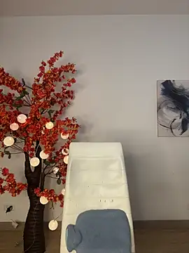 VictoriaHiill webcam