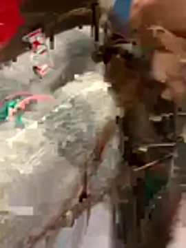 Amani_thewolf webcam