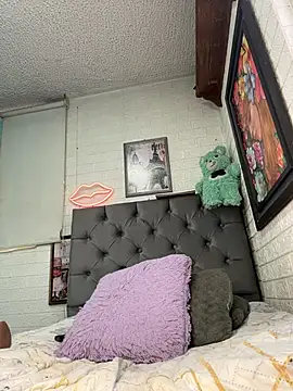 SALOME_KORLAND webcam