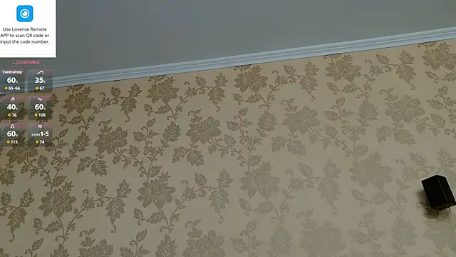 MartinBrandon webcam