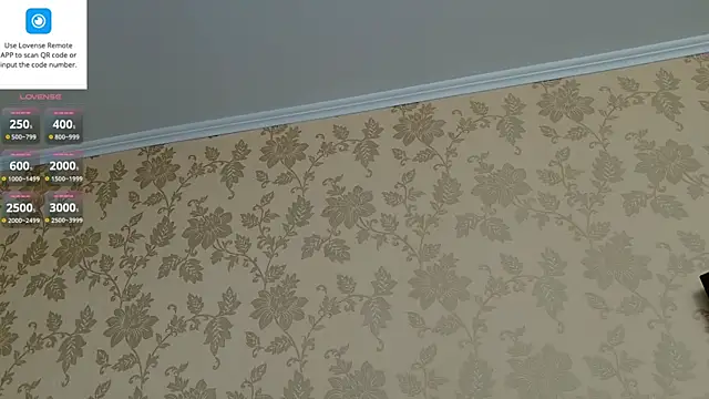 MartinBrandon webcam