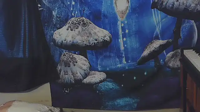 _hellostormy_ webcam