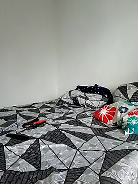 LEIRIS_Y_FRED_01 webcam