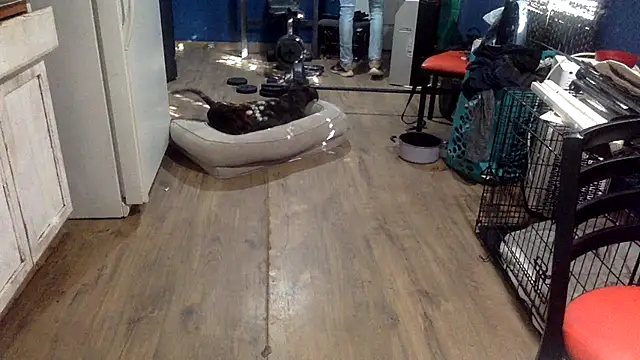 sexyhotstud12 webcam