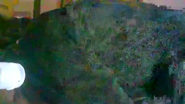 ON3YOULLN3VER_FIR3 webcam