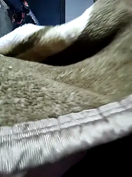 hot_bhabhi300 - Hot_bhabhi300's free webcam - UK Sex Cams