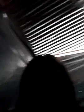 laurens_world webcam