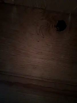 themorenofit08 webcam