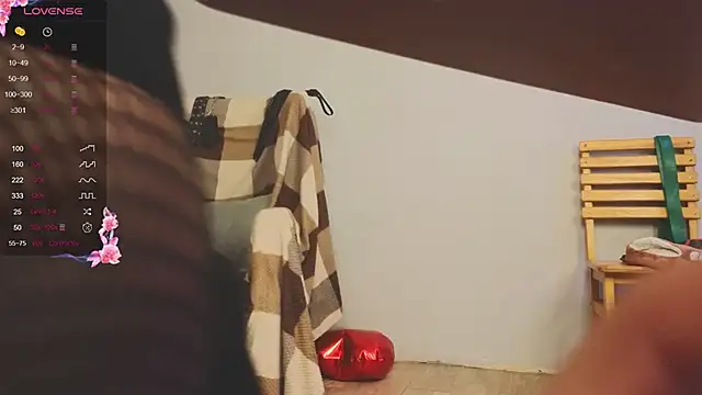 laracroftmansion webcam