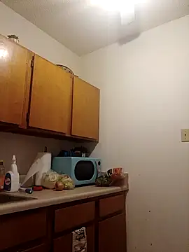 ReallyReallyReal webcam