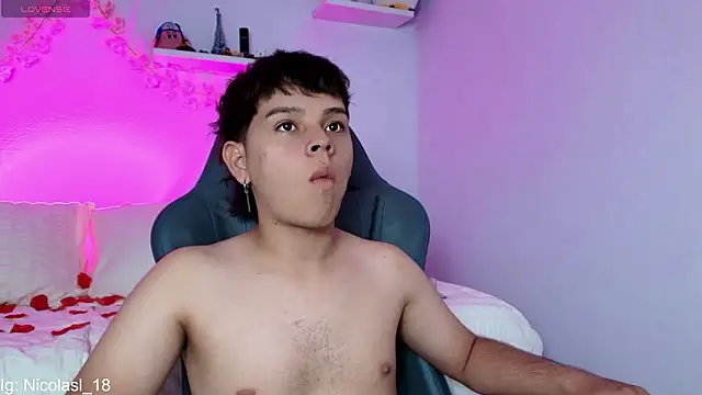 nico_leroy webcam