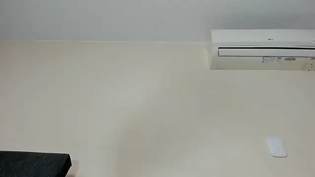 vanesadimaria webcam