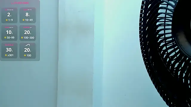 Vittoria_Conti_ webcam