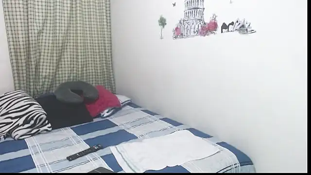 Charlotte_gray_ webcam