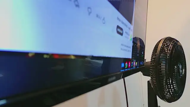 AntonellaEscudero webcam