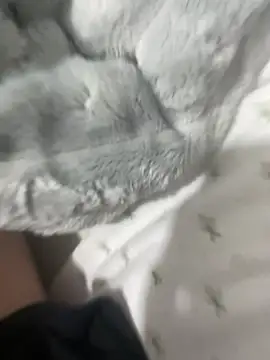 Dondeloquieras4 webcam