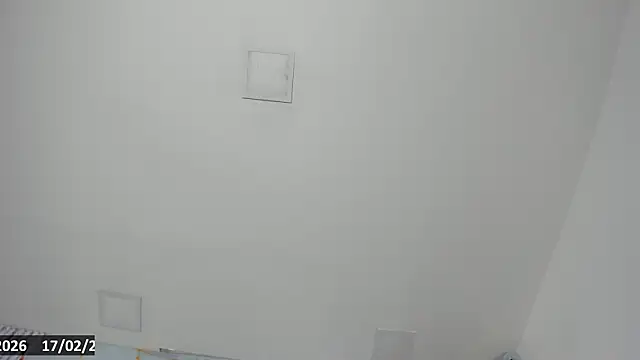 Thiana_Rogers webcam