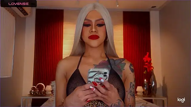 StellaStrong30 webcam