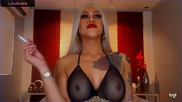 StellaStrong30 webcam