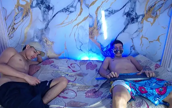 Damian_and_theo webcam