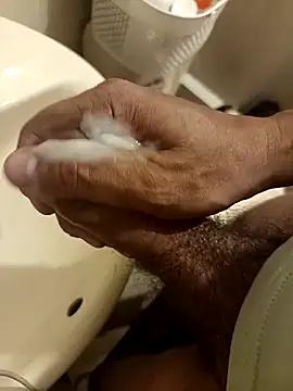 Hugopingonasa2024 webcam