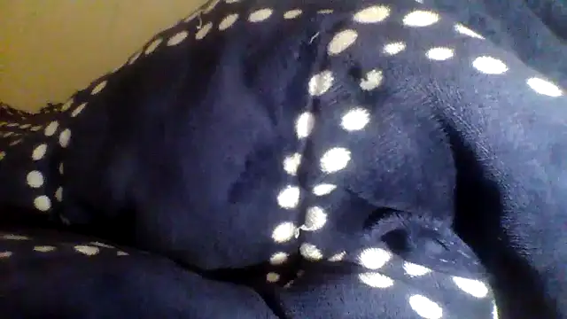 noluthandozuma webcam