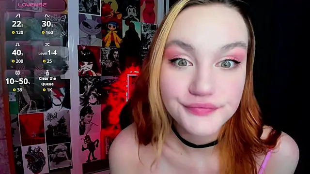 Ida_FaneStain webcam