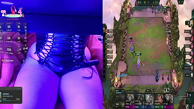 baileymonarch webcam