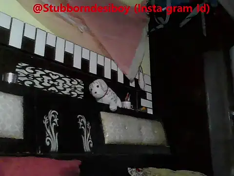 Stubborndesiboy webcam