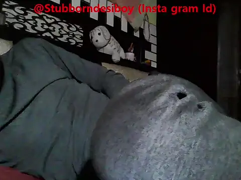 Stubborndesiboy webcam