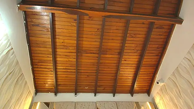 Michael_Boyss webcam