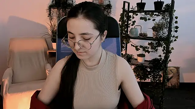 VirtuallVoyant webcam