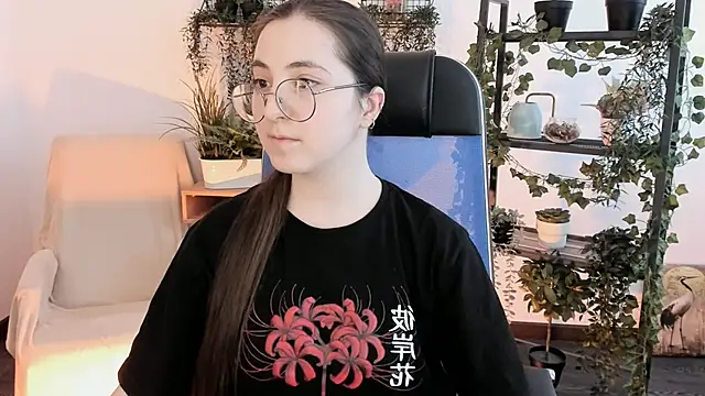 VirtuallVoyant webcam