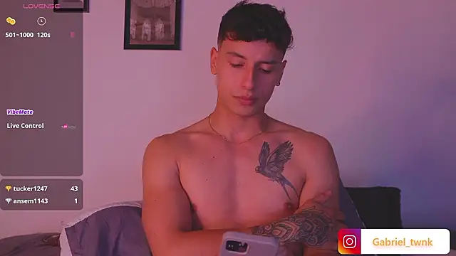 I_Gabriel webcam