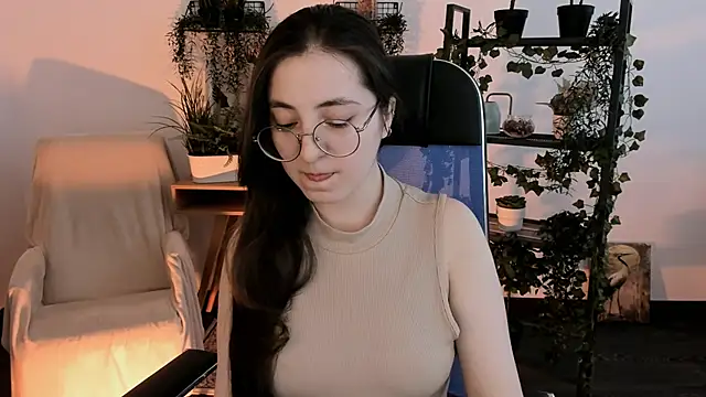 VirtuallVoyant webcam