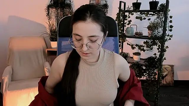 VirtuallVoyant webcam