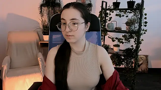 VirtuallVoyant webcam