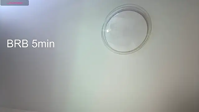 VerniceEngelking webcam