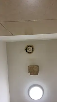 Alexander18edd webcam