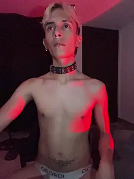 Dracco_Velour_ webcam