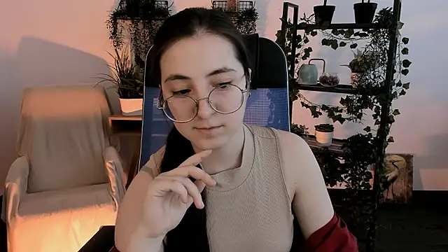 VirtuallVoyant webcam