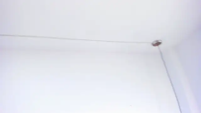 Alaia_Gutierrez webcam