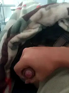 oNovinhoDoPirocao webcam