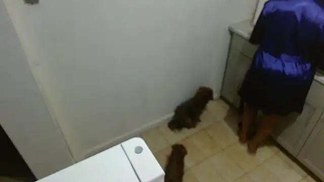 MSweetLindaParks webcam