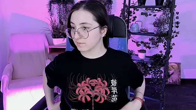 VirtuallVoyant webcam