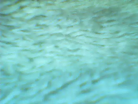 SOLESFETISHBR webcam