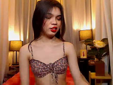 TWINKTRANSSHANEL webcam