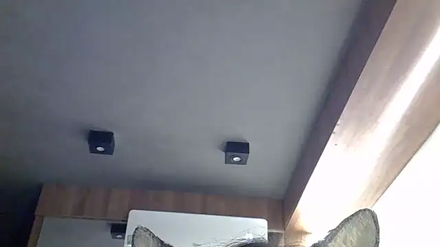 SkinnyKitten webcam